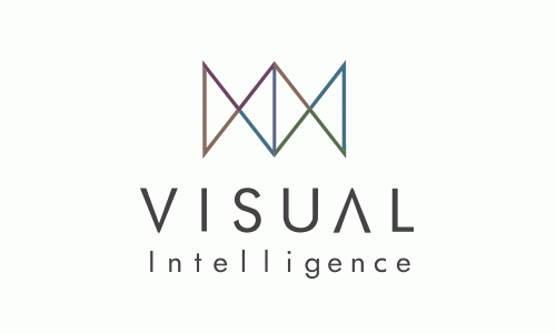 (주)비주얼인텔리전스 logo