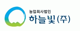 하늘빛(주)의 기업로고