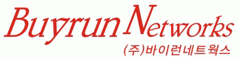 (주)바이런네트웍스의 기업로고