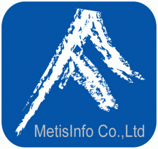메티스정보