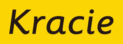 한국크라시에약품(주)의 기업로고