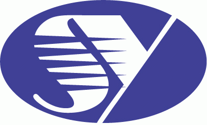 에스와이시스템