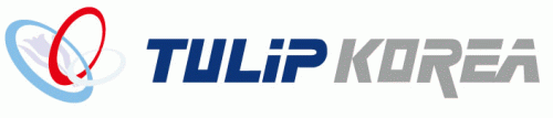 튤립코리아