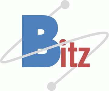 비츠솔루션의 기업로고