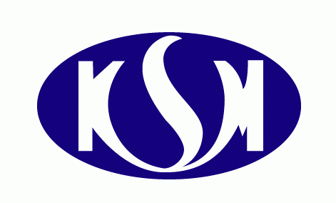 대한소결금속(주)의 기업로고