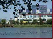 백석세무회계사무소의 기업로고