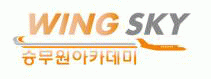 윙스카이승무원학원의 기업로고