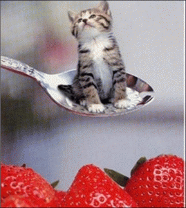 신일디스플레이