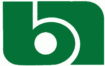 (주)부국정밀의 기업로고