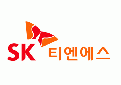 에스케이티엔에스(주)의 기업로고