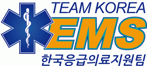 팀코리아이엠에스(주)의 기업로고