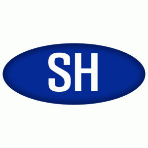 새한건설시스템(주)의 기업로고