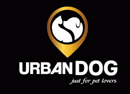 (주)아이엠씨코리아의 기업로고