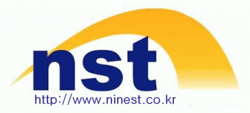 (주)나인에스티의 기업로고