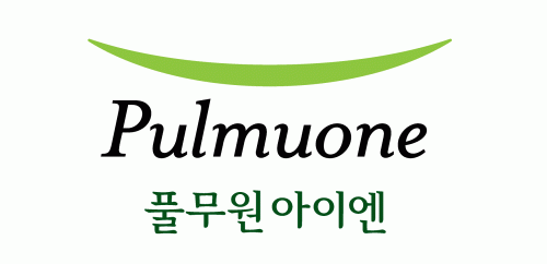 풀무원아이엔(주)의 기업로고