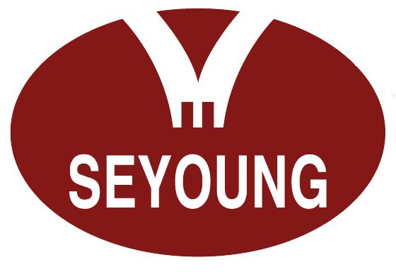 세영종합건설(주)의 기업로고