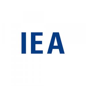 (주)아이이에이