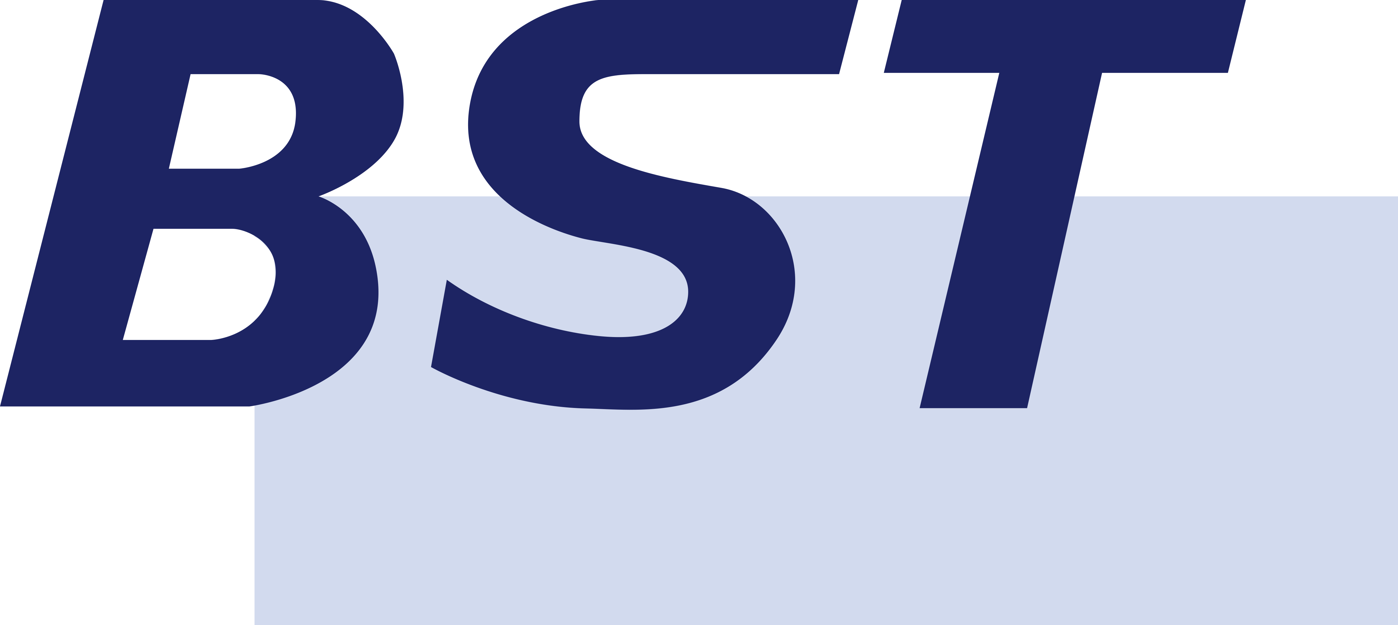 (주)비에스티의 기업로고