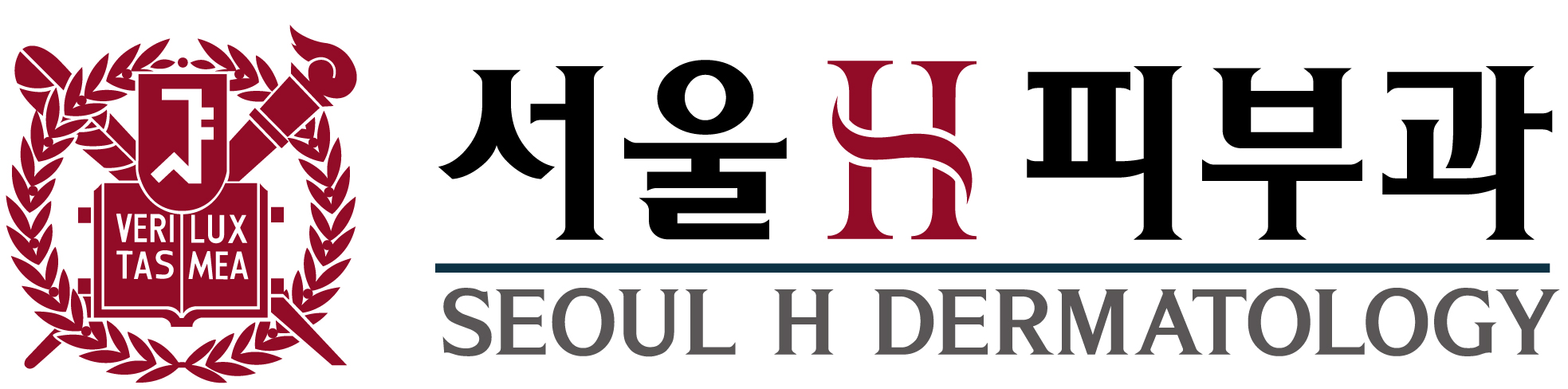서울에이치피부과의원의 기업로고