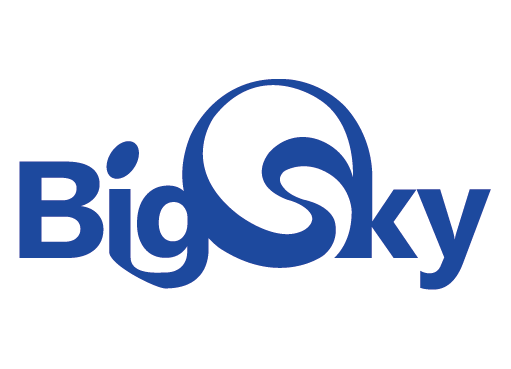 (주)빅스카이의 기업로고