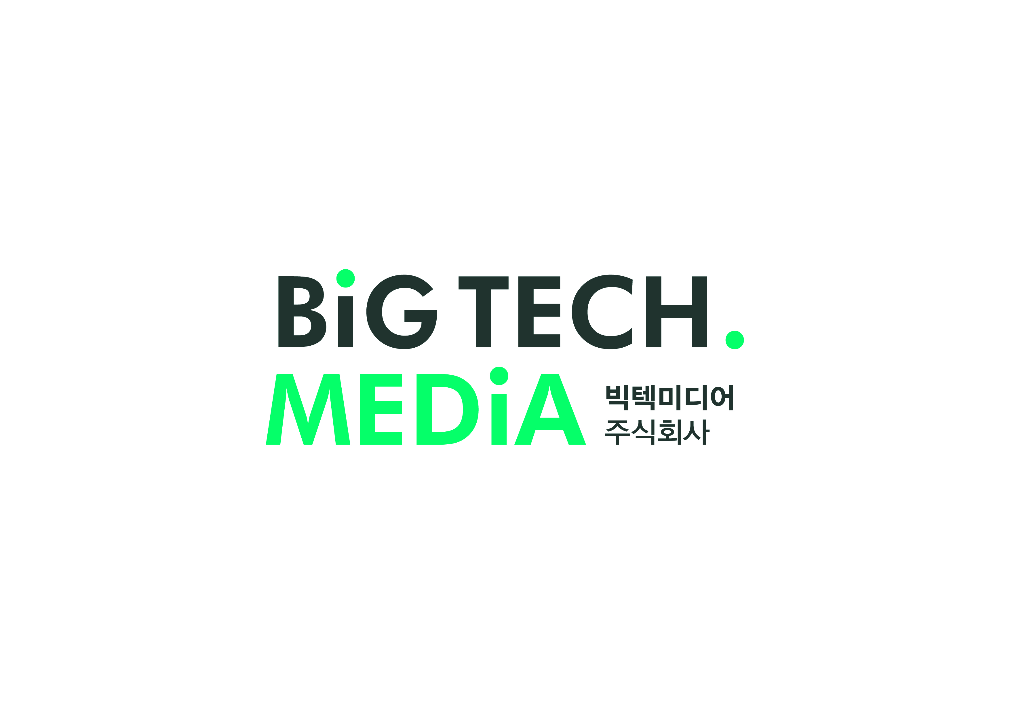 빅텍미디어(주)