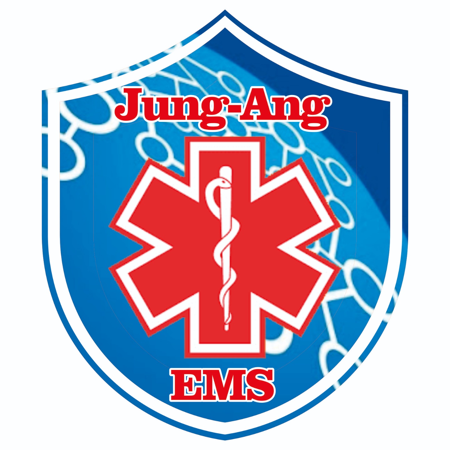 (주)중앙이엠에스의 기업로고