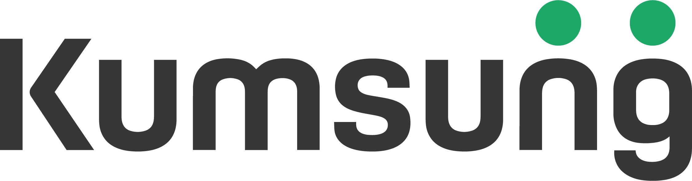 금성이엔씨(주)의 기업로고