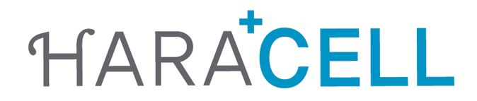 에버셀의 기업로고