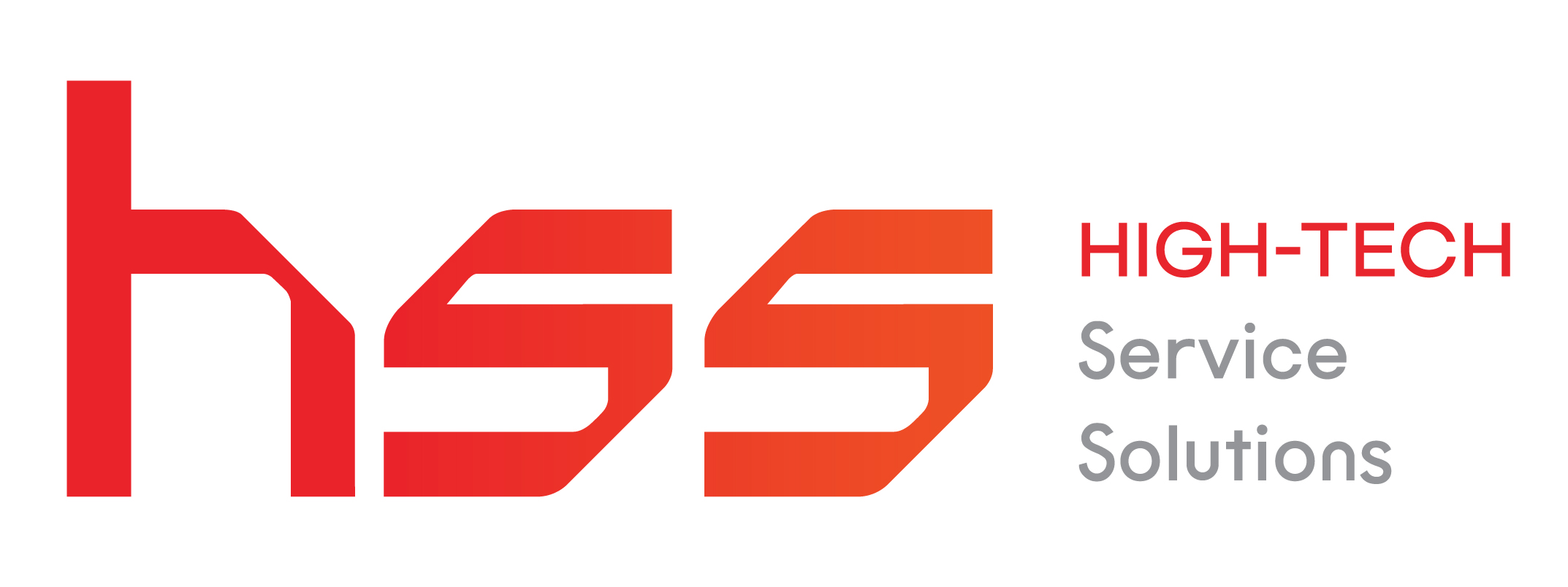 (주)에이치에스솔루션즈의 기업로고