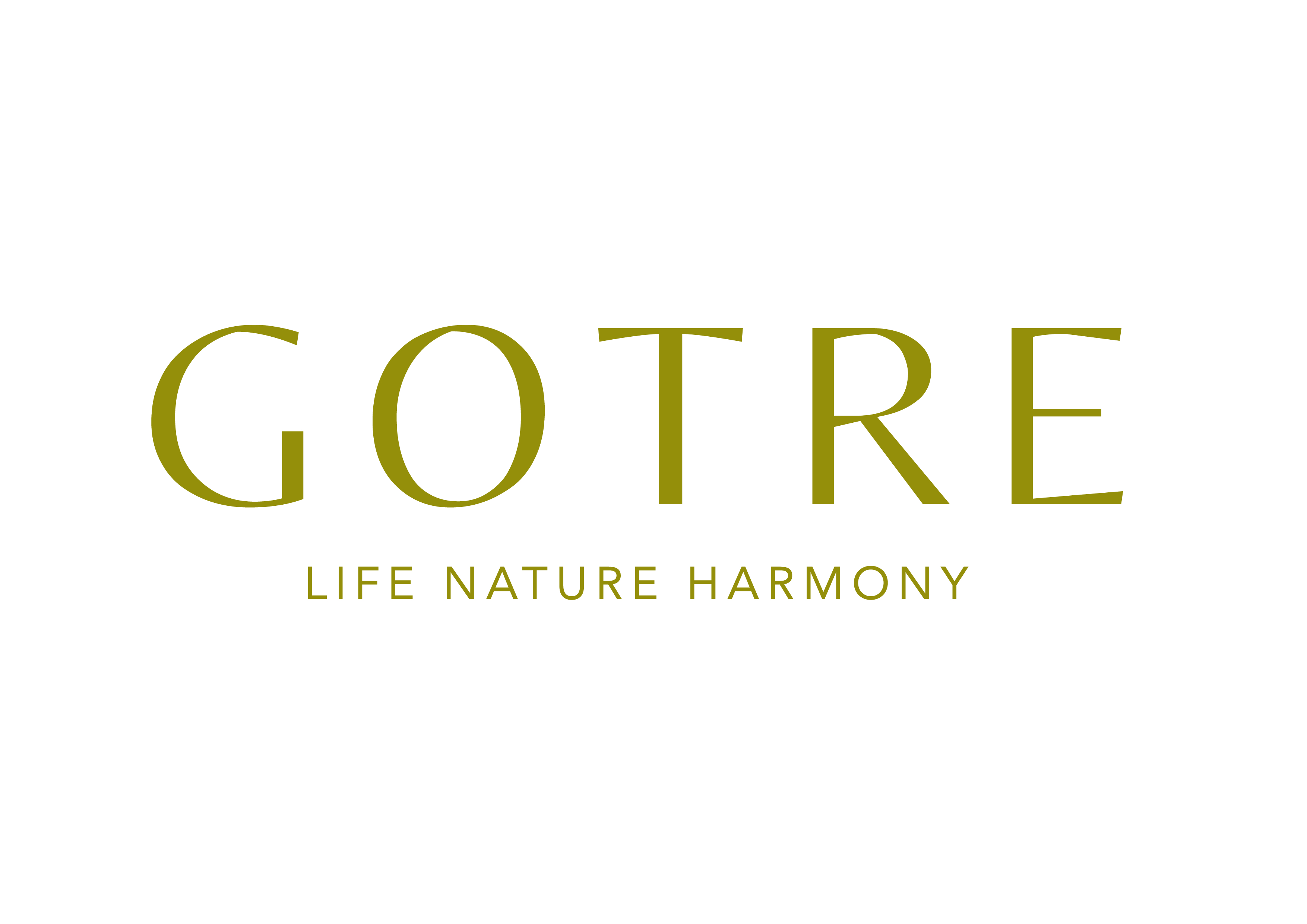 (주)인카리스의 기업로고