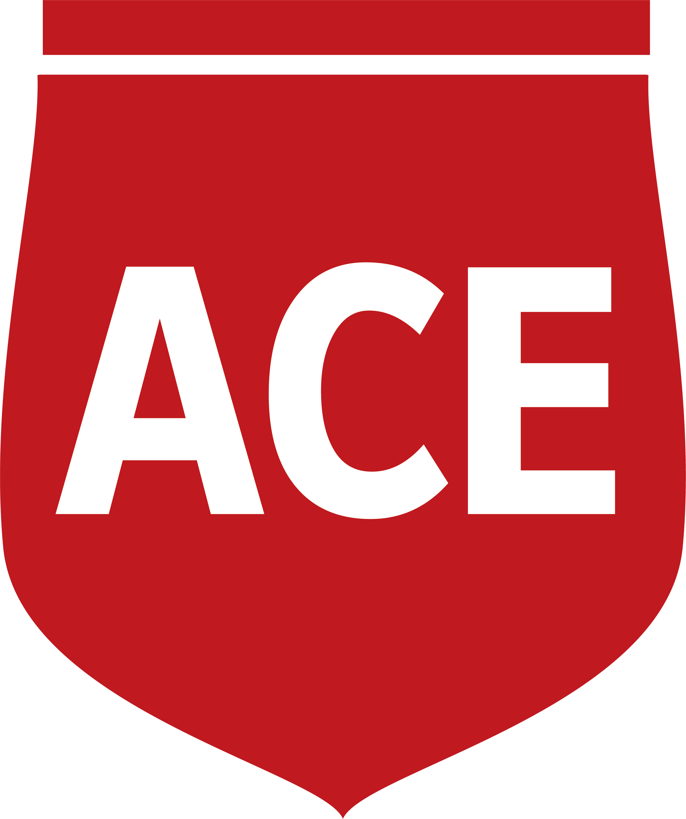 서면에이스간호학원의 기업로고