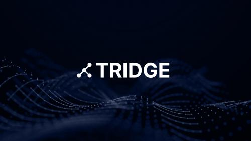 (주)트릿지 logo