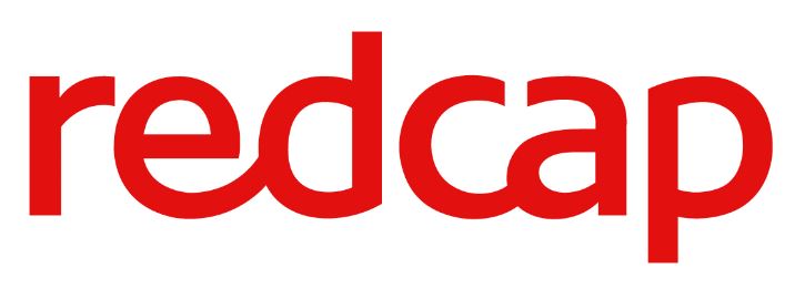 (주)레드캡투어의 기업로고