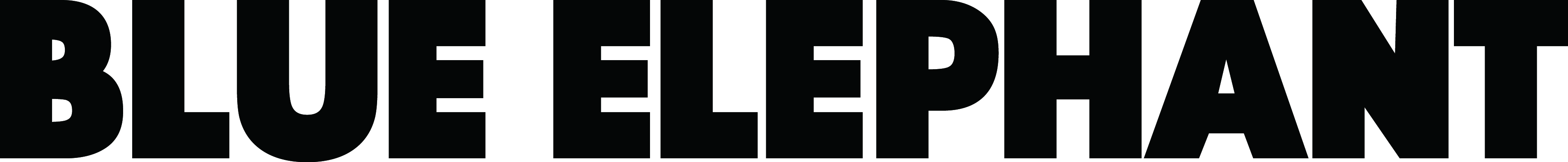 (주)블루엘리펀트