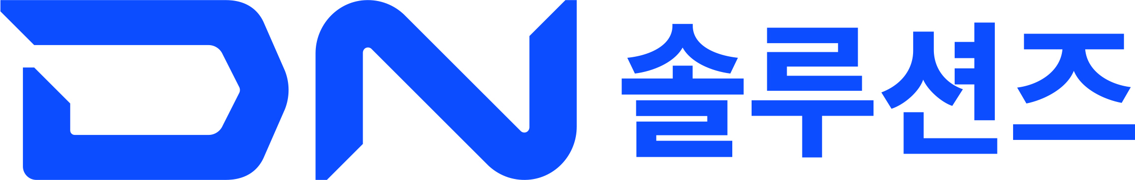 (주)디엔솔루션즈