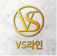 강남브이에스라인의원의 기업로고