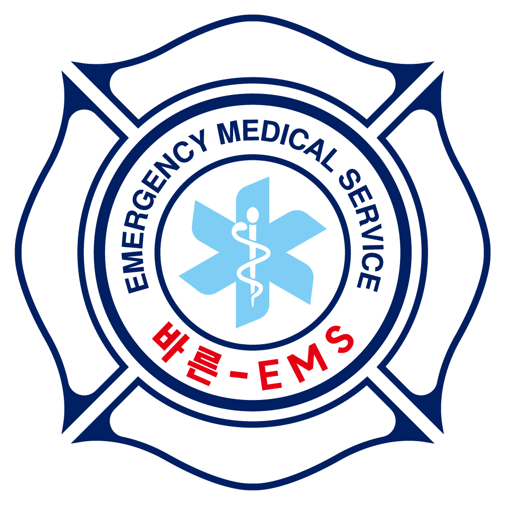 (주)바른이엠에스의 기업로고