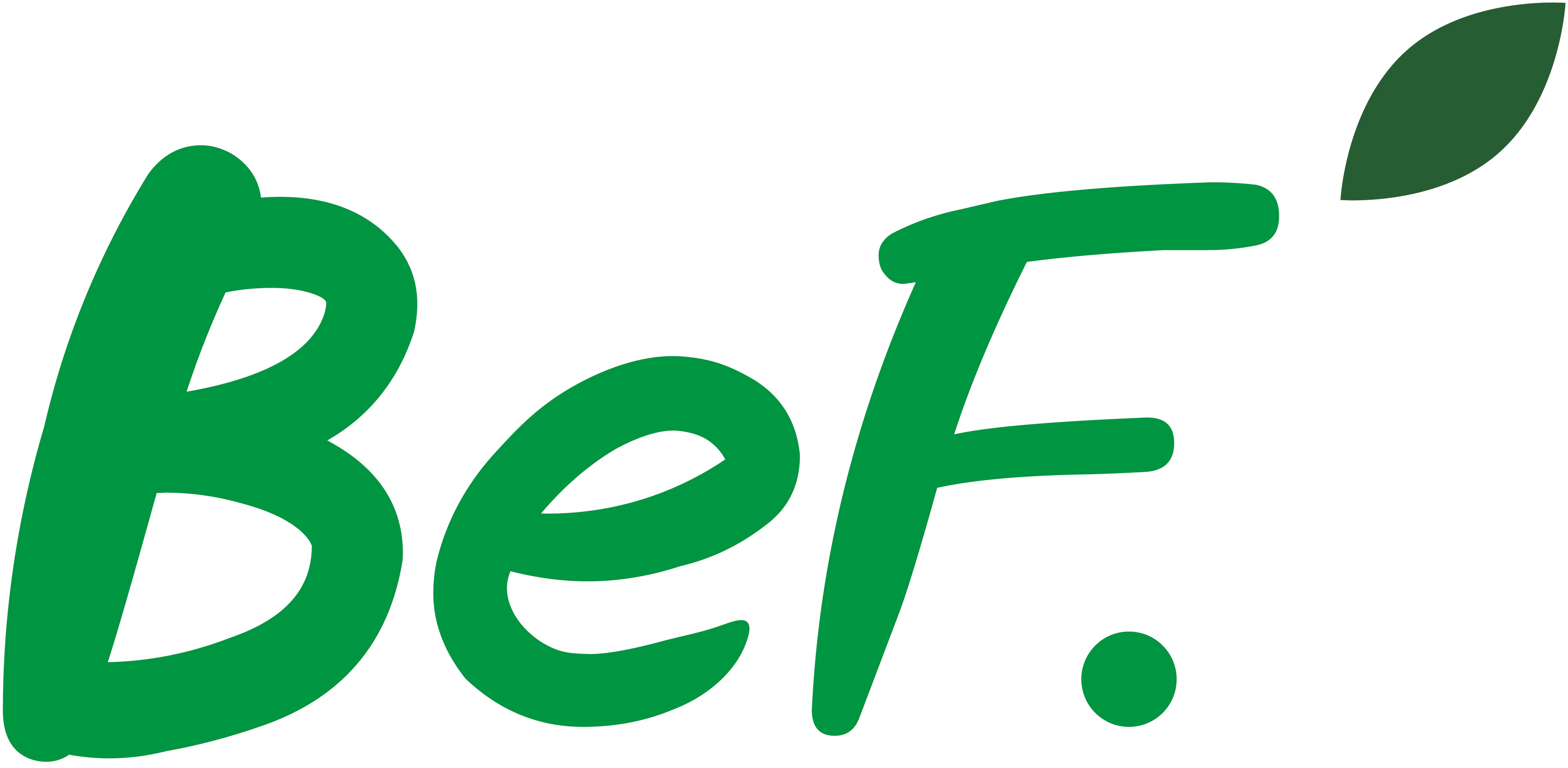 비이에프(주)의 기업로고