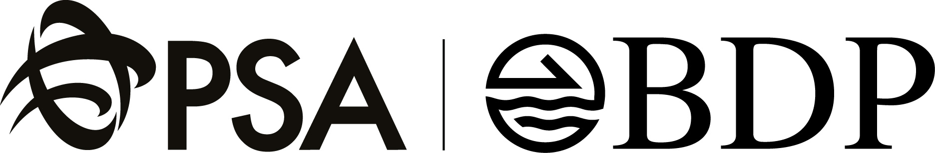 비디피로지스틱스코리아(유)의 기업로고