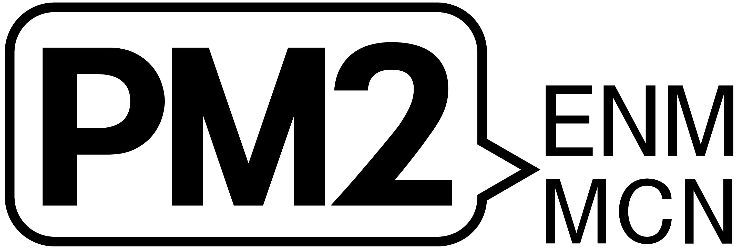 주식회사피엠투이엔엠의 기업로고