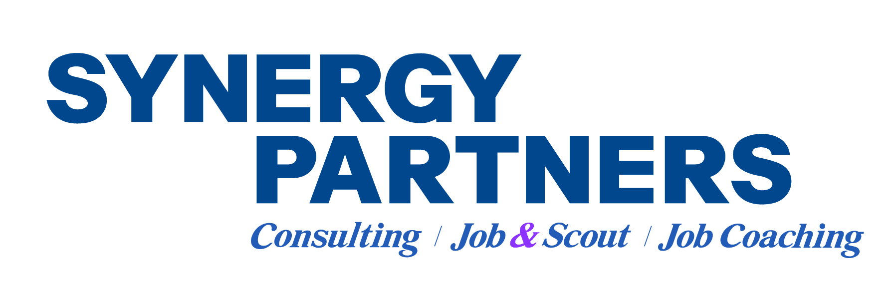 시너지파트너즈(주)