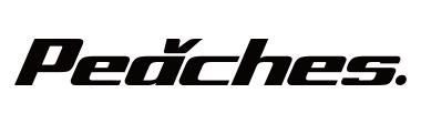 (주)피치스그룹코리아 logo