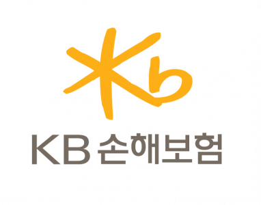 (주)케이비손해보험