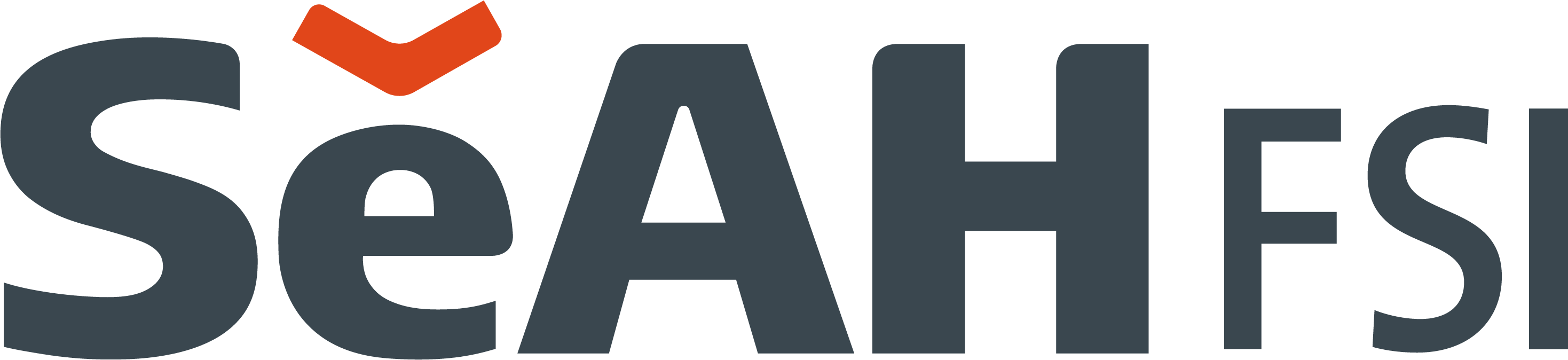 (주)세아에프에스아이의 기업로고