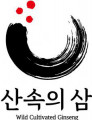 산속의삼