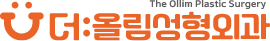 더올림성형외과의원 logo