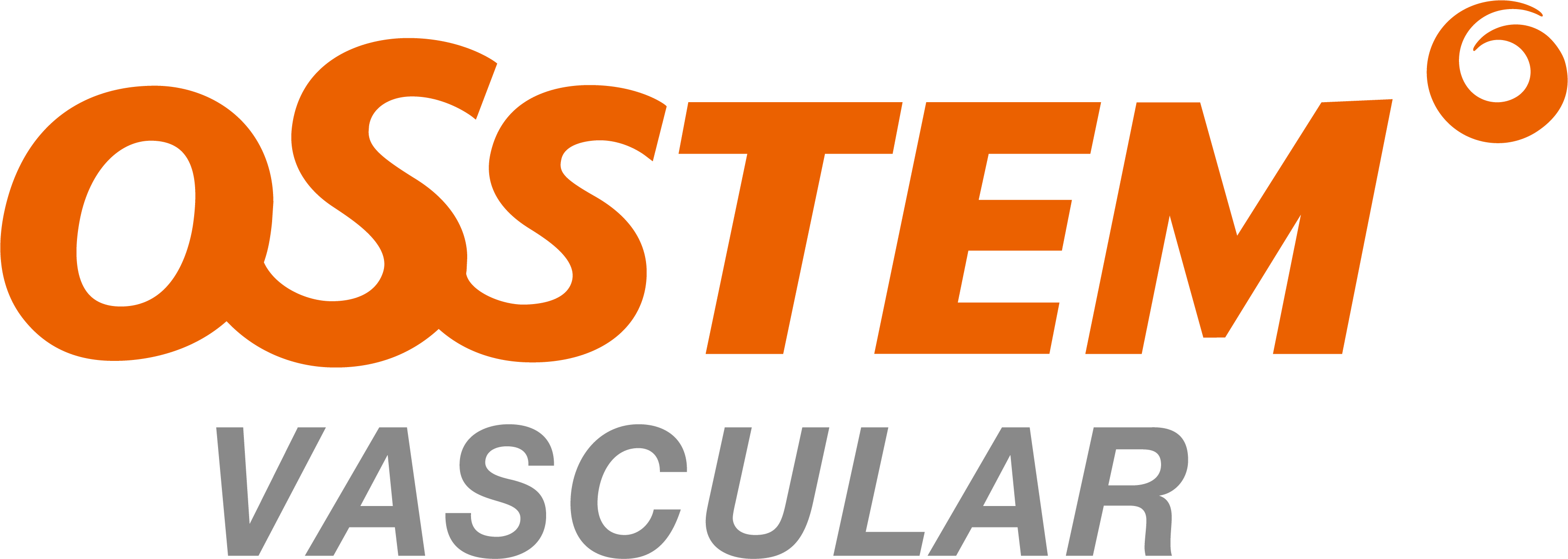 오스템바스큘라(주)의 기업로고