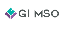 (주)지아이엠에스오 logo