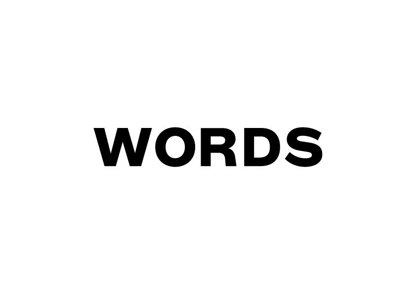 (주)워즈코퍼레이션의 기업로고