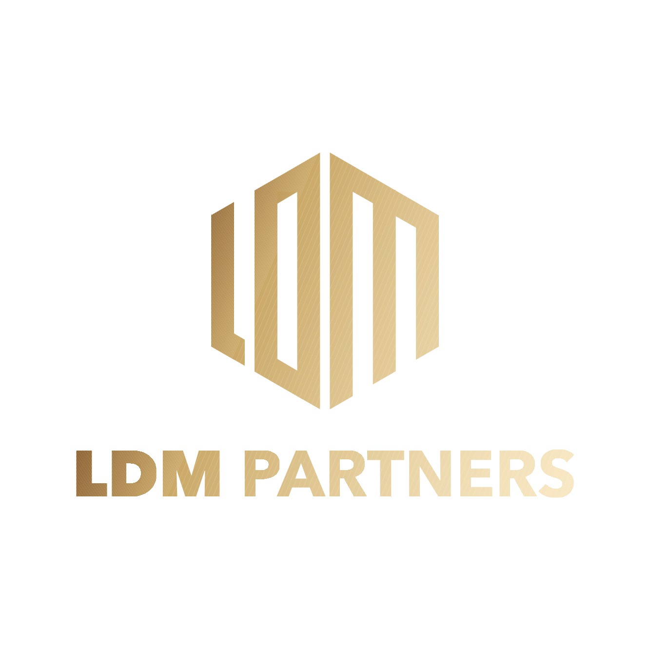 (주)엘디엠파트너스의 기업로고